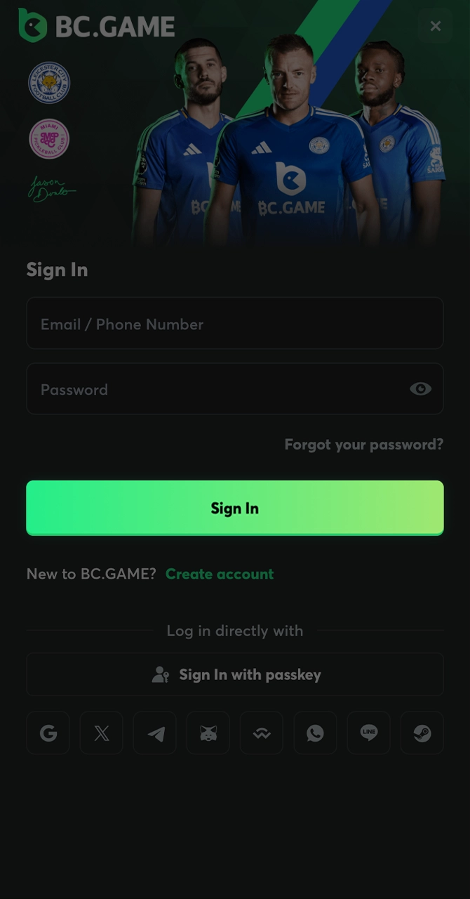 Enter your credentials to access your personal BC Game profile.