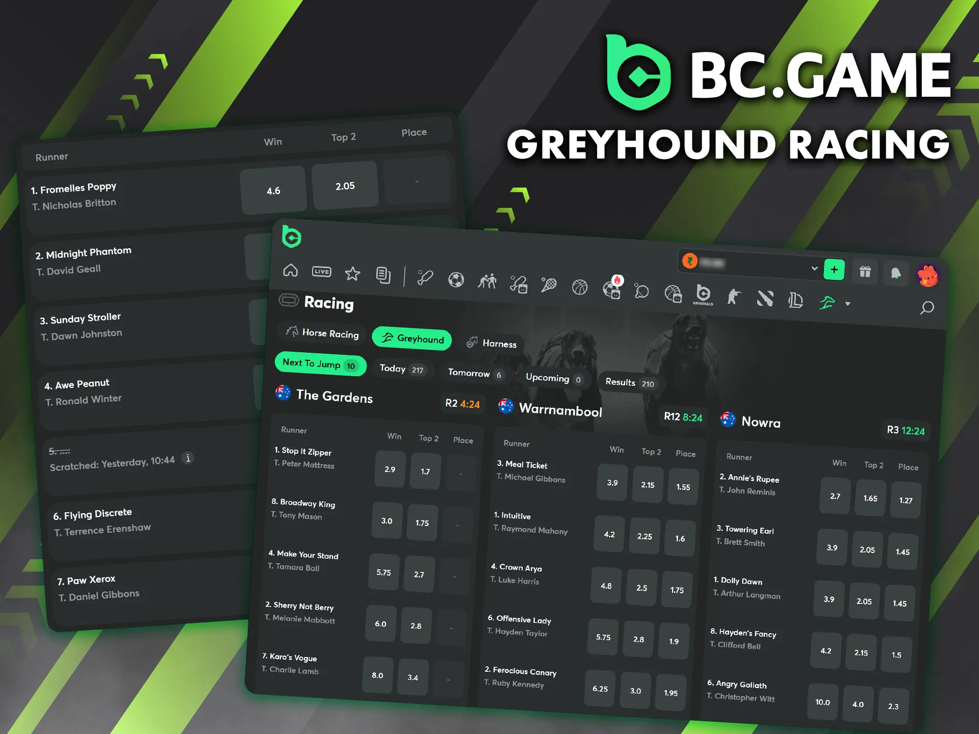 Experience the thrill of greyhound racing right here on the BC Game website.